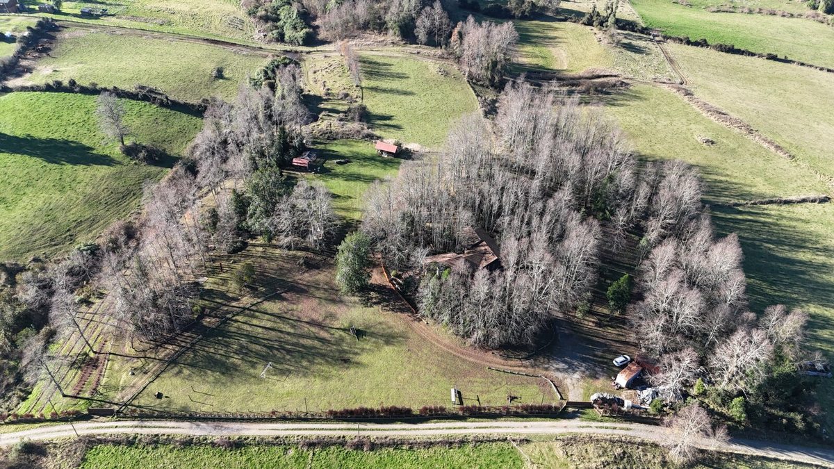 Terreno