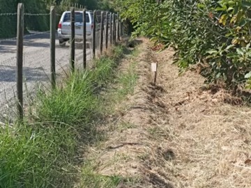 ACEQUIA DE RIEGO