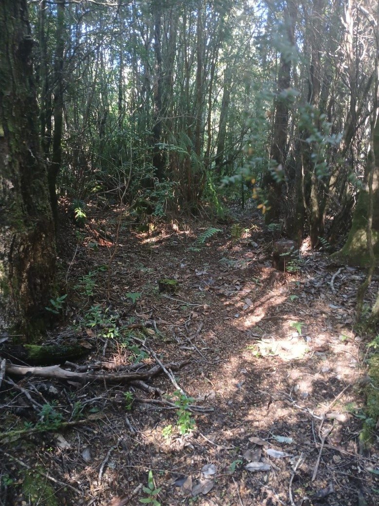 Foto 15
