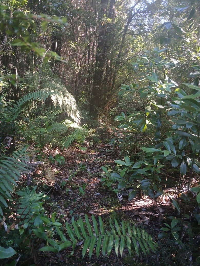 Foto 13