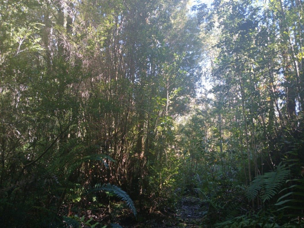 Foto 10