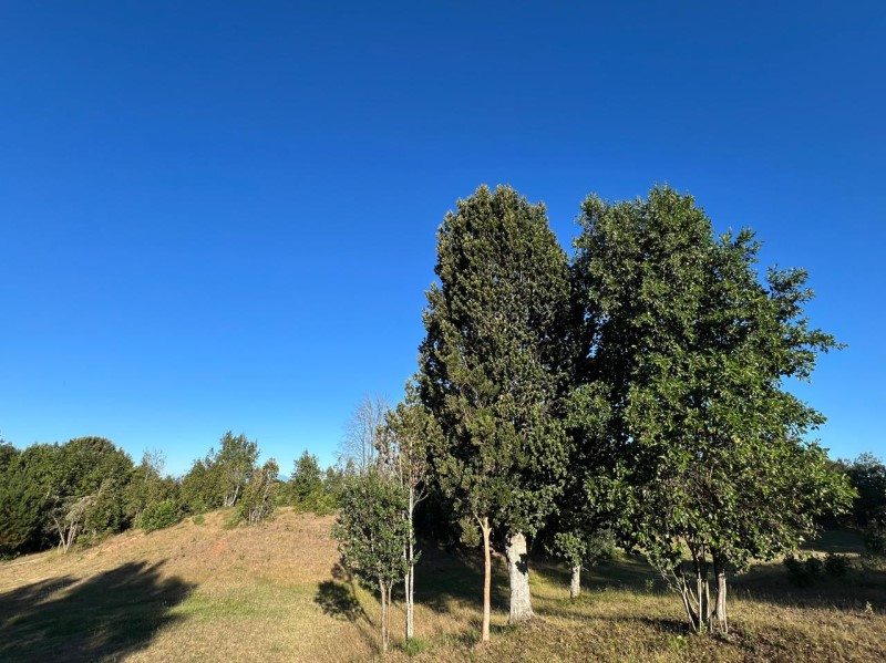 Foto 18