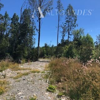 Foto 20