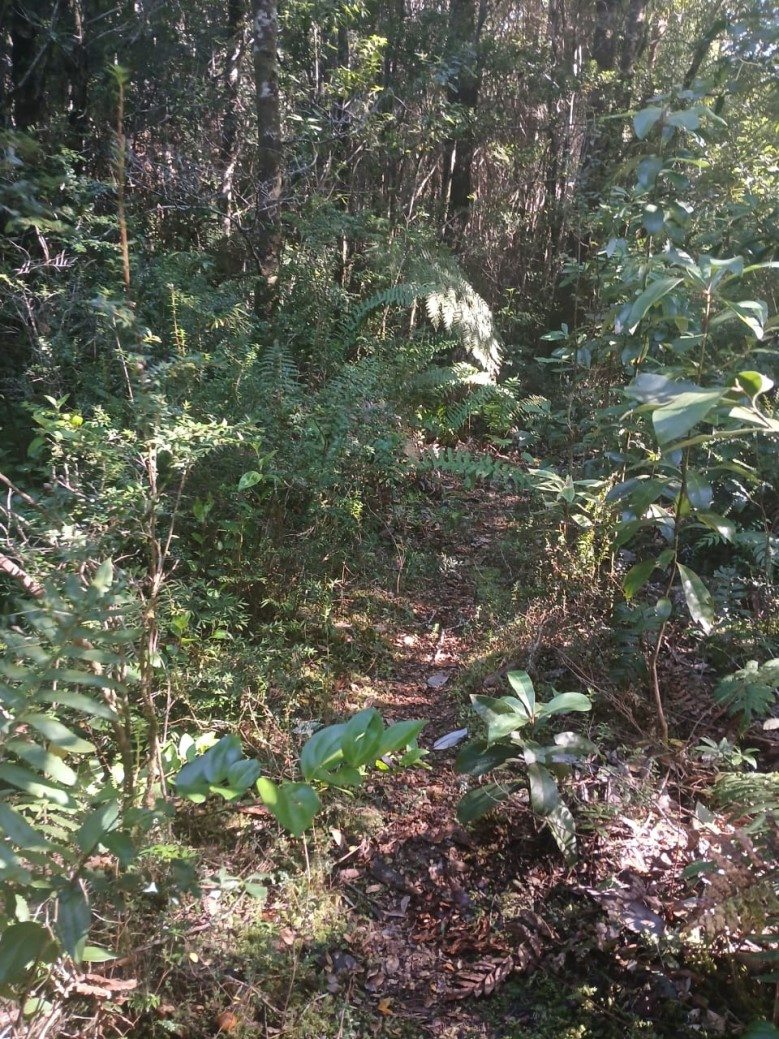 Foto 14