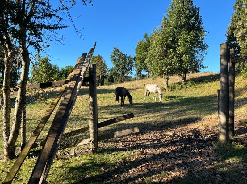 Parcela en Venta en Puerto Montt, Se vende parcela, en alto bonito!!!