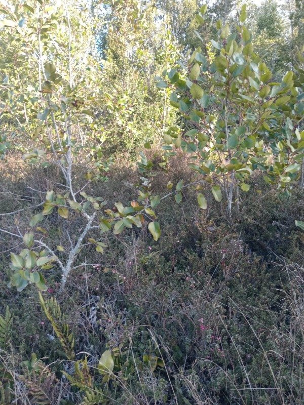 Foto 8