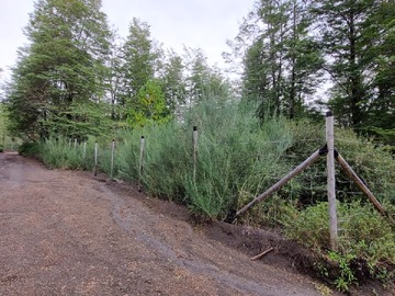 Con cierro perimetral