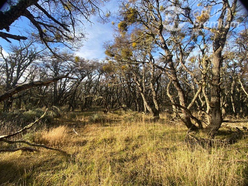Parcela en Venta en Punta Arenas, Ruta Y-530 Km 22 y 10 km desde la ruta hacia Punta Prat