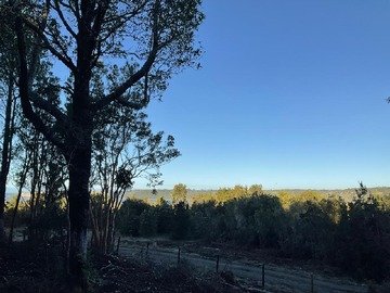 Lugar hermoso y tranquilo