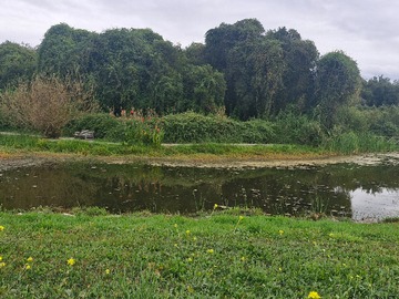 Laguna del Loteo