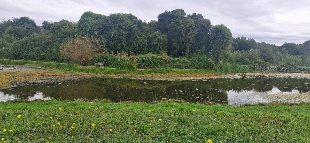 Laguna del Loteo