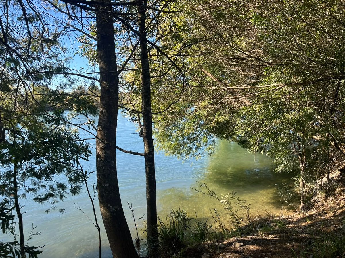 Foto 12
