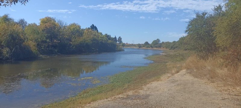 Sitio en Venta en Cauquenes, Cauquenes