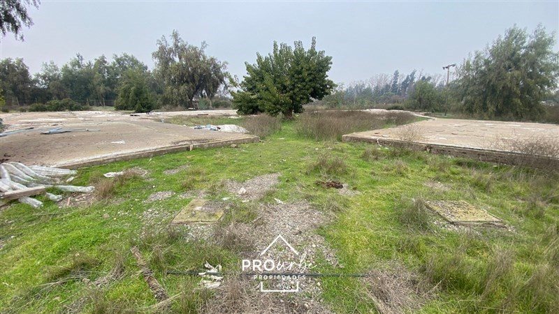 Foto 15