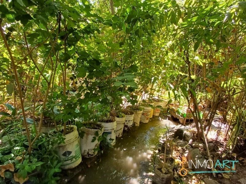 Foto 15