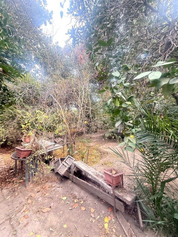 Foto 14