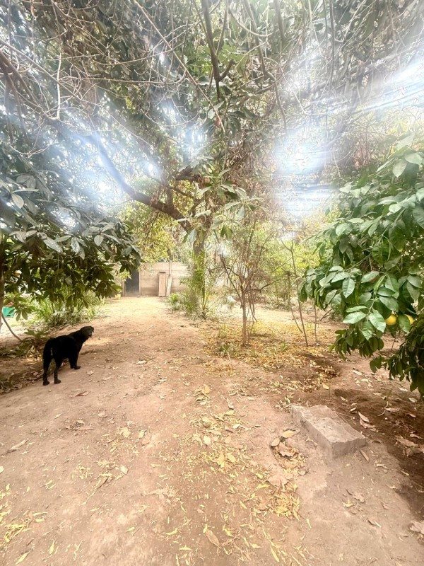 Foto 12