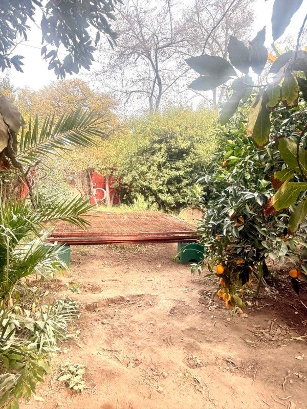 Foto 11