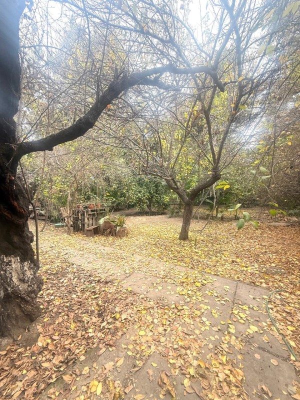 Foto 16