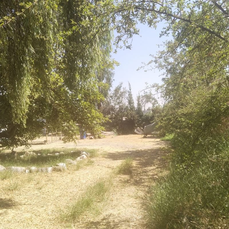 Foto 16