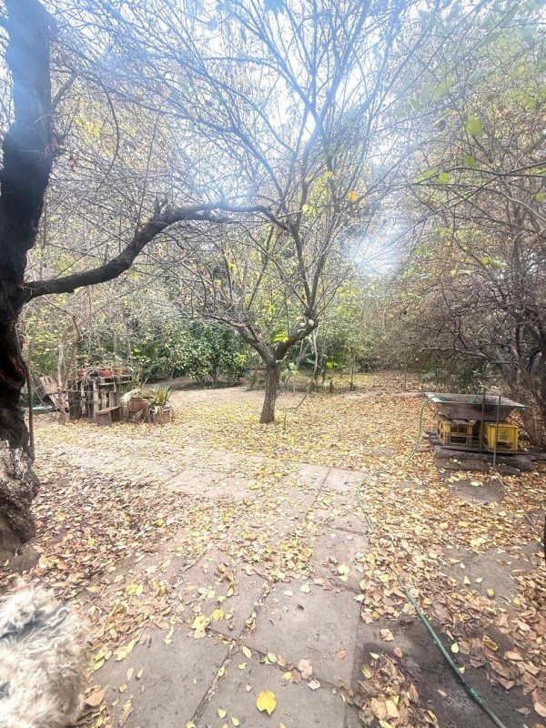 Foto 18