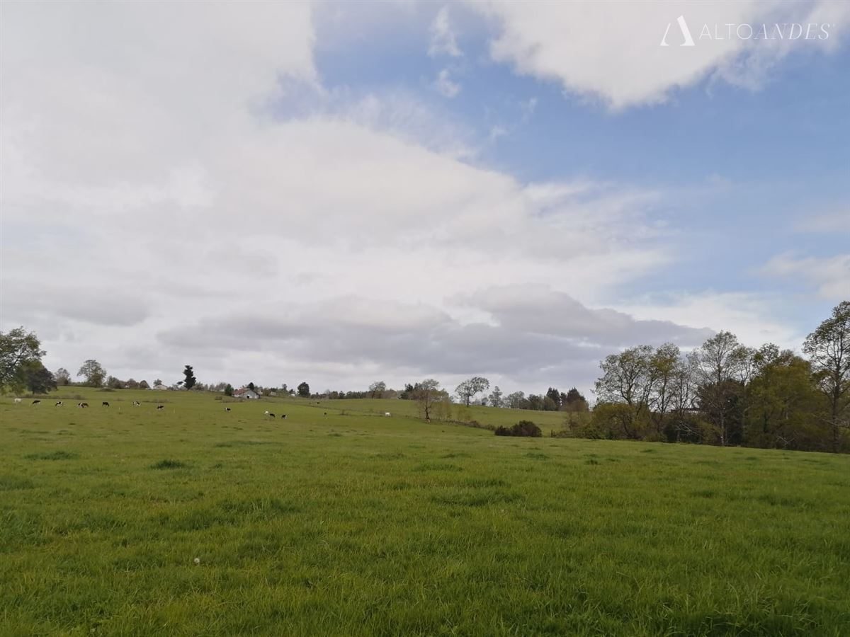 Sitio en Venta en Osorno, Campo Río Negro, Osorno