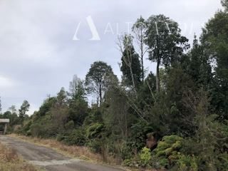 Sitio en Venta en Puerto Montt, Camino a la Colonia Ruta V-615, km 11,3, Puerto Montt