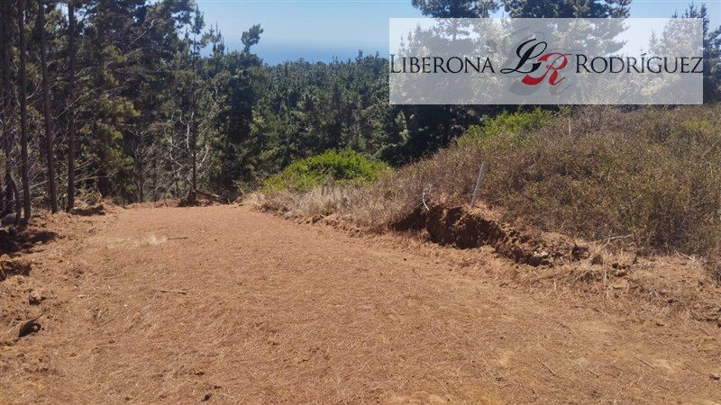 Sitio en Venta en Valparaíso, Parcela en Fundo Curaumilla, Laguna Verde