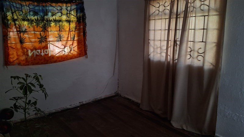 Foto 7