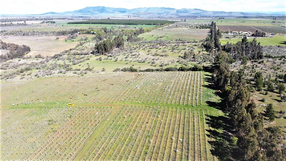 Terreno Agricola en Venta en Cauquenes, Ruta M-128, Km.13, Camino Cauquenes, Parral, Predio El Macetero.