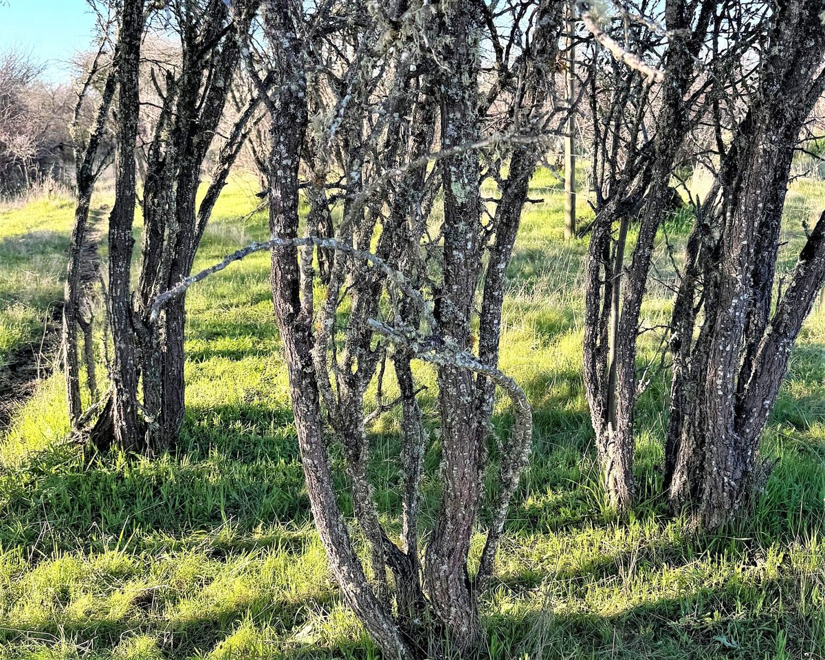 Foto 19