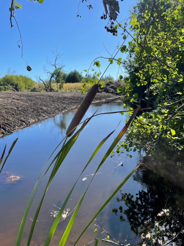 Terreno Agricola en Venta en Los Ángeles, Oportunidad inversión, sector turístico cercano a salto laja