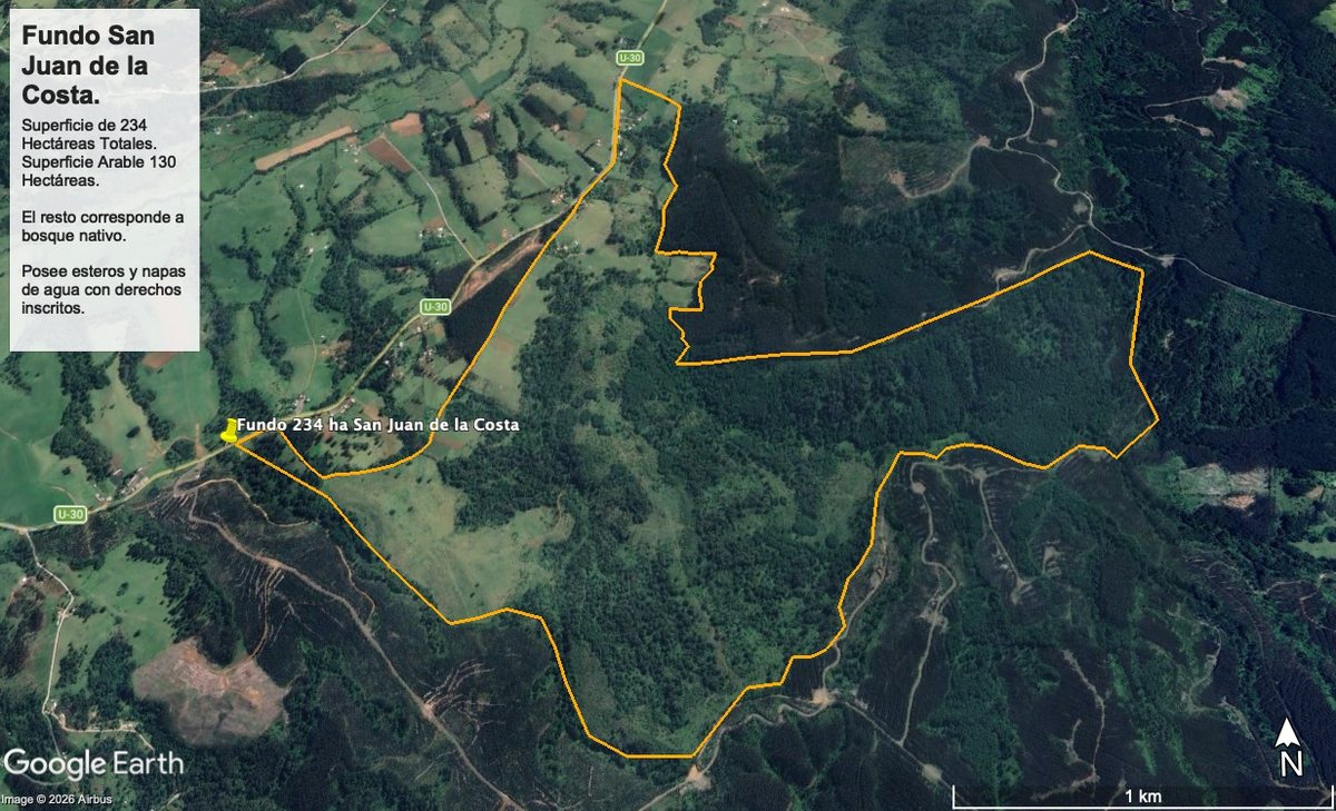 Vendo Fundo Ganadero Forestal en Osorno (Terreno Agricola)