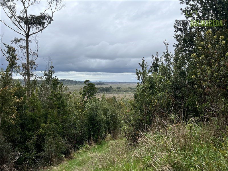 Terreno Agricola en Venta en Puerto Montt, Trapen, ruta San Antonio