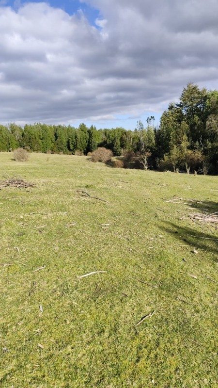 Terreno Agricola en Venta en Puerto Montt, Sector el Mañio, Fresia