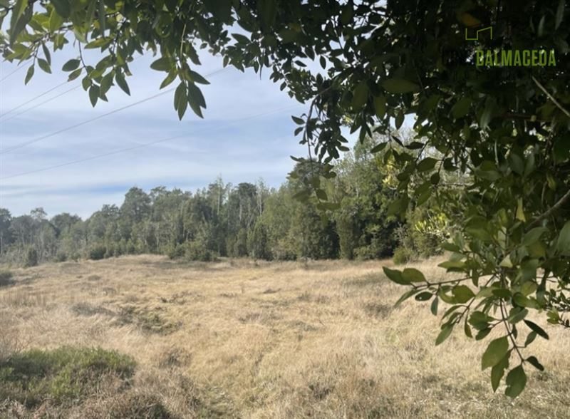 Terreno Agricola en Venta en Puerto Montt, Ruta 5 cruce Maullin