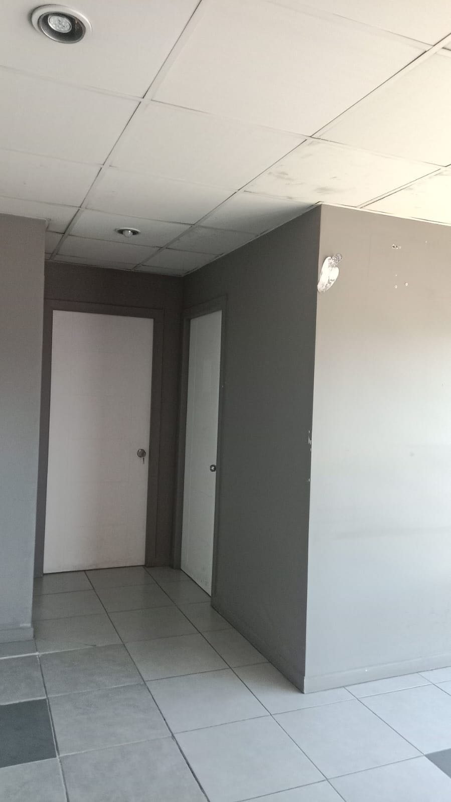 Foto 19
