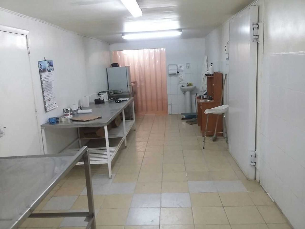 Foto 5