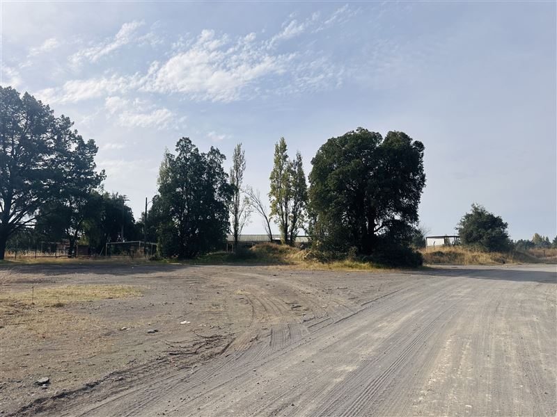 Foto 7