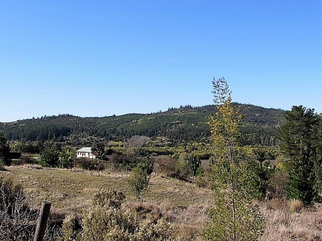 Foto 12