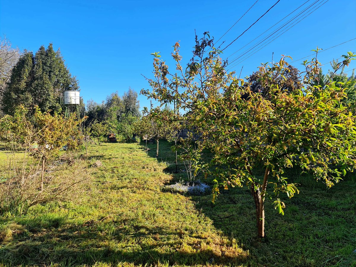 Terreno en Venta en Chiguayante, Casa Quinta Chiguayante-sector Manquimavida (119275)