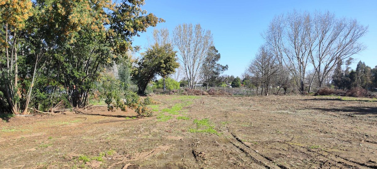 Terreno en Venta en Chillán, Parcelas planas 15 min chillan (60471)