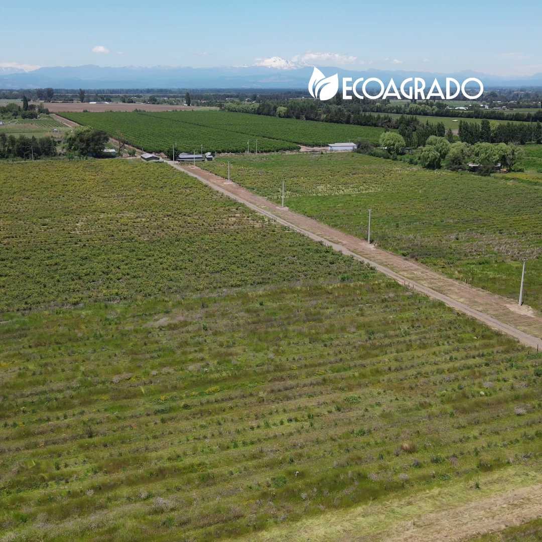 Terreno en Venta en Chillán, Parcelas Camino a Cato (134864)