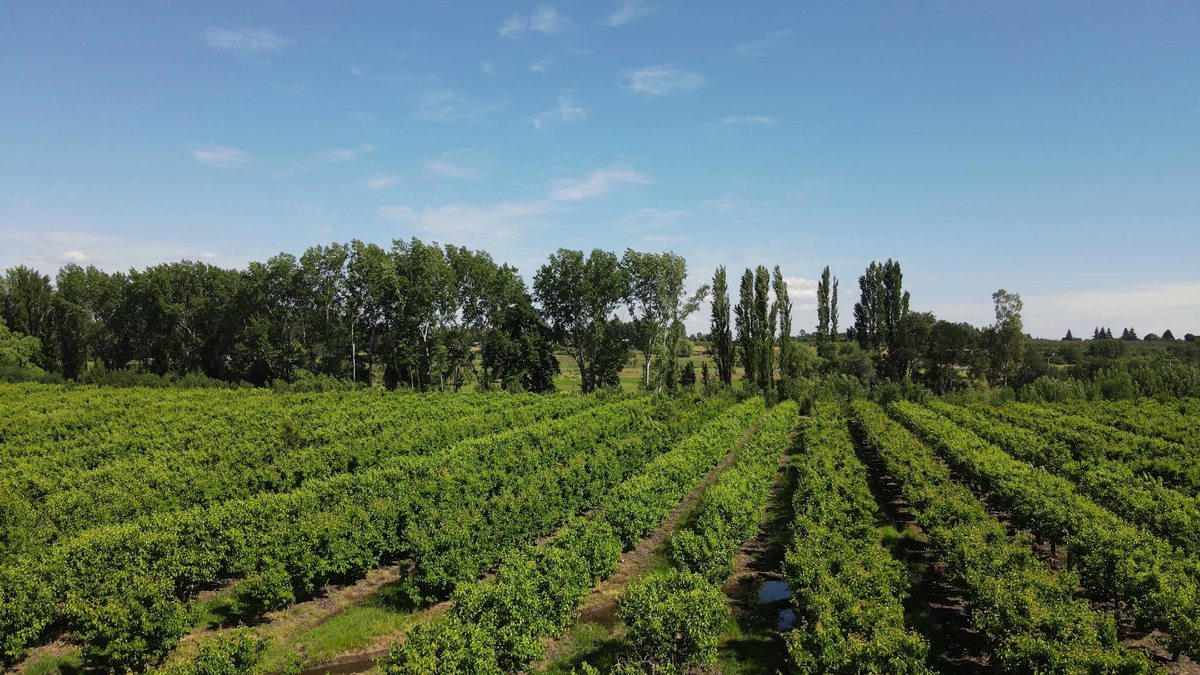Terreno en Venta en Chillán, Parcelas a pocos minutos de Chillán (129084)