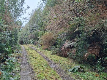 Camino acceso parcela