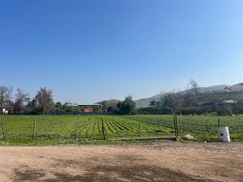 Terreno en Venta en Colina, Terreno subdividible en 350 m2 75 hab/hec