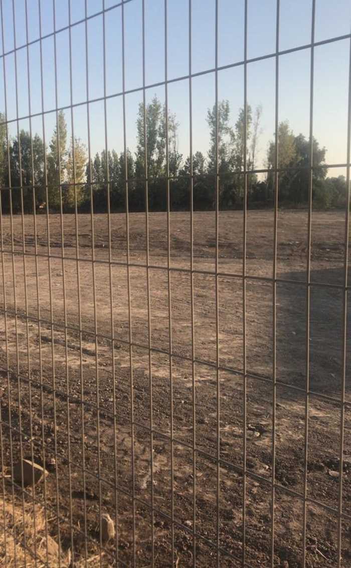 Foto 16