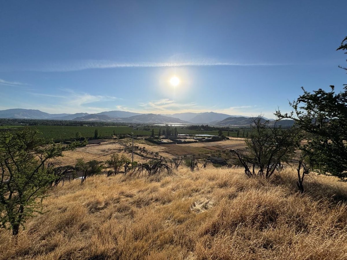 Terreno en Venta en Colina, Oportunidad Única de Inversión (154508)