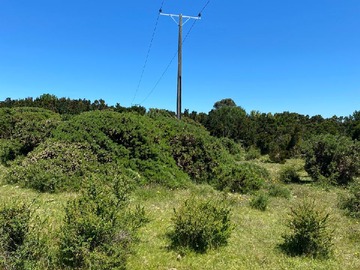 Urbanizado