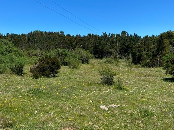 Terreno plano